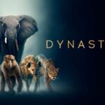 Dynasties